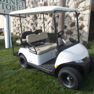2025 E-Z-GO Valor® 48V Bright White