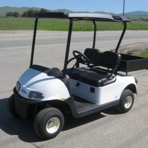 2023 E-Z-GO Freedom® RXV® EX1 Gas Bright White