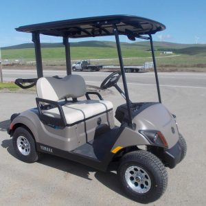 2024 Yamaha Golf-Car Drive2® - PTV Powertech LI