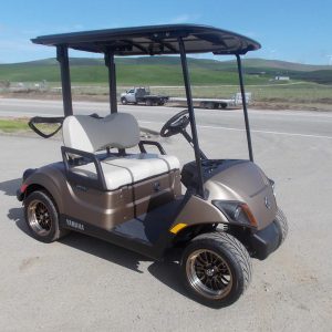 2024 Yamaha Golf-Car Drive2® - PTV Powertech AC