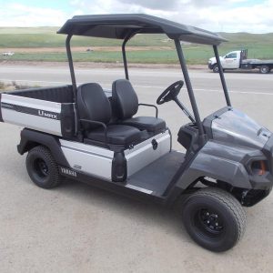 2025 Yamaha Golf Car UMAX® Two AC