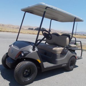 2024 Yamaha Golf Car Drive2® - PTV Powertech AC