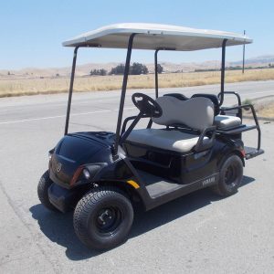 2024 Yamaha Golf Car Drive2® - PTV Powertech LI