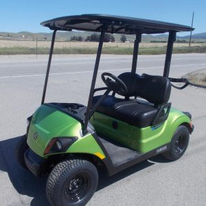 2024 Yamaha Golf Car Drive2® - PTV Powertech LI